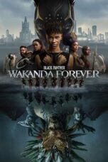 Black Panther 2 Wakanda Forever